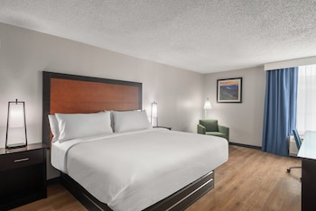 Standard Room, 1 King Bed, Mountain View