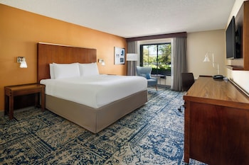 Room, 1 King Bed, Hearing Accessible (Mobility Accessible with Bathtub)