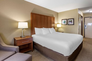Standard Room, 1 King Bed, Non Smoking