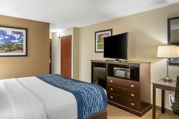 Standard Room, 1 King Bed, Accessible, Non Smoking (Accessible Bathtub)