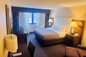 Room, 1 King Bed, Accessible, Non Smoking