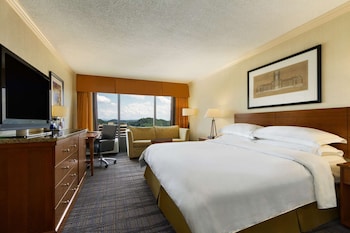 Room,1 King Bed Accessible, Bathtub