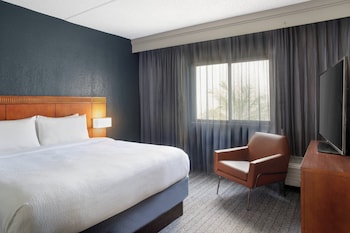 Suite, 1 King Bed with Sofa bed