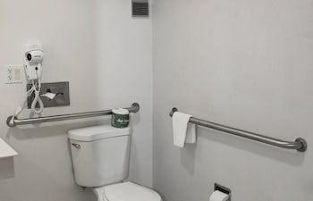 Room, 1 King Bed, Accessible, Non Smoking (Accessible Tub)