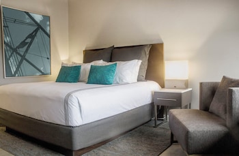 Standard Room, 1 King Bed, City View (Walk-In Shower)
