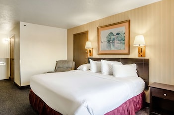 Room, 1 King Bed, Non Smoking, Jetted Tub