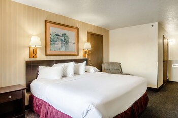 Room, 1 King Bed, Non Smoking, Jetted Tub