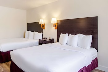 Room, 2 Queen Beds (Pet Friendly)