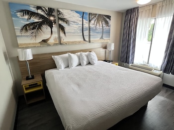 Room, 1 King Bed, Smoking