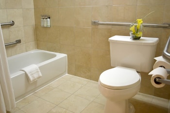 Room, 1 King Bed, Accessible (Wheelchair Accessible Classic King)