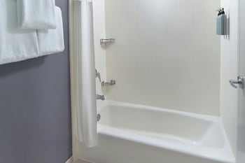 Room, 1 King Bed with Sofa bed