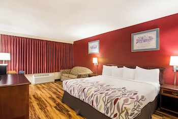 Superior Room, 1 King Bed, Non Smoking