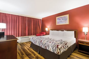 Deluxe Room, 1 King Bed, Non Smoking