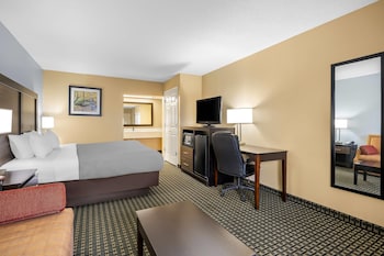 Room, 1 King Bed, Non Smoking