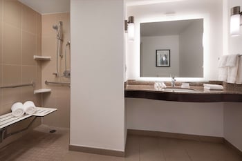Room, 1 King Bed, Accessible (Roll-in Shower)