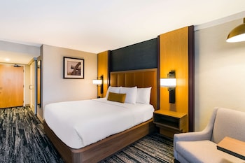 Standard Room, 1 King Bed, Refrigerator & Microwave