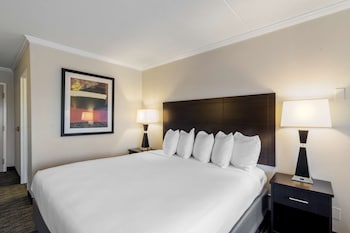Standard Room, 1 King Bed, Non Smoking