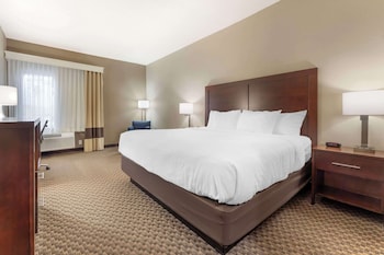 Room, 1 King Bed, Non Smoking