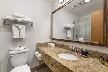 Standard Room, 1 King Bed, Non Smoking, Refrigerator & Microwave (Walk-in Shower;with Sofabed)