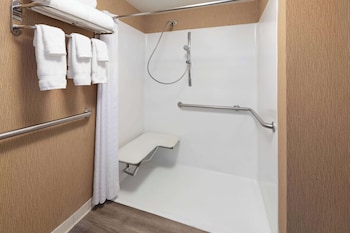Room, 1 King Bed, Accessible, Non Smoking (Mobillity Access, Roll-In Shower)