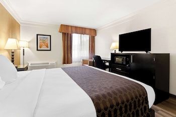 Standard Room, 1 King Bed, Accessible, Refrigerator & Microwave