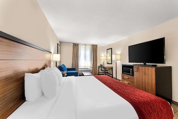 Standard Room, 1 King Bed, Non Smoking, Refrigerator & Microwave (with Sofabed)