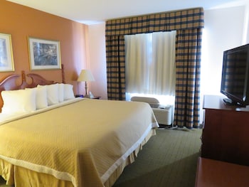 Suite, 1 Bedroom
