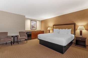 Standard Room, 1 King Bed, Non Smoking, Refrigerator & Microwave