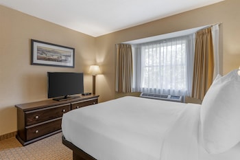 Suite, 1 Queen Bed with Sofa bed, Non Smoking, Kitchen (with Sofabed)