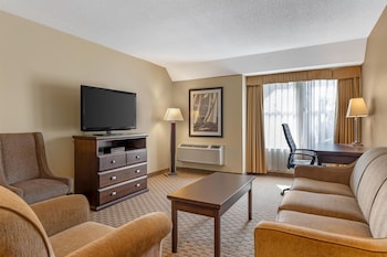 Suite, 1 King Bed with Sofa bed, Non Smoking, Refrigerator & Microwave (with Sofabed)