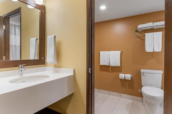 Suite, 1 King Bed with Sofa bed, Non Smoking, Refrigerator & Microwave (with Sofabed)
