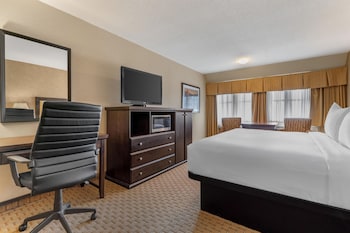 Standard Room, 1 King Bed, Non Smoking, Refrigerator & Microwave (Walk-in Shower)