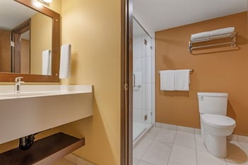 Standard Room, 1 Queen Bed, Accessible, Refrigerator & Microwave (Walk-in Shower)