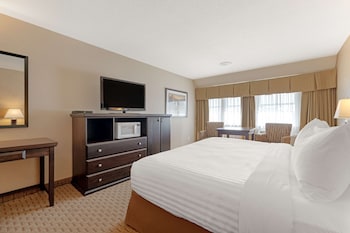 Standard Room, 1 King Bed, Non Smoking, Refrigerator & Microwave (Walk-in Shower)