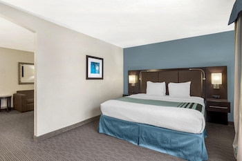 One Bedroom Suite, 1 King Bed, Non Smoking, Refrigerator & Microwave (with Sofabed)