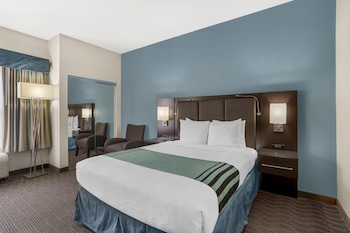 Standard Room, 1 Queen Bed, Accessible, Non Smoking