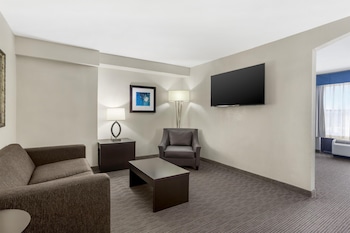 One Bedroom Suite, 1 King Bed, Non Smoking, Refrigerator & Microwave (with Sofabed)