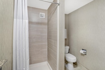 One Bedroom Suite, 1 King Bed, Non Smoking, Refrigerator & Microwave (with Sofabed)