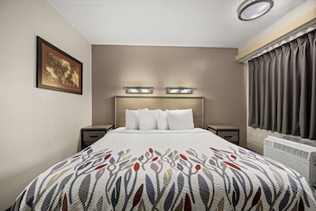Deluxe Room, 1 King Bed, Non Smoking