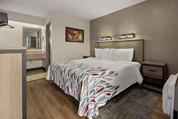 Deluxe Room, 1 King Bed, Non Smoking