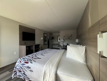 Superior Room, 1 King Bed (Smoke Free)