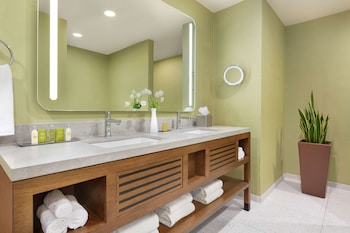 Room, 1 King Bed (Fitness Room)