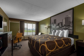 Room, 1 King Bed, Smoking
