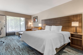 Room, 1 King Bed, Smoking