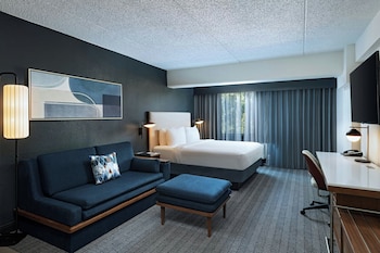 Room, 1 King Bed with Sofa bed