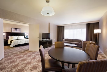 Suite, 1 King Bed with Sofa bed