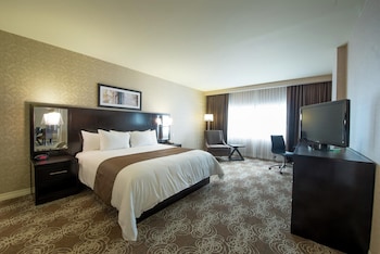 Room, 1 King Bed