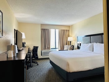 Standard Room, 1 King Bed, Roll-in Shower (Communications Accessible)