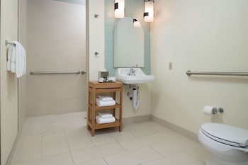 Premier King Balcony ADA Roll-In Shower
