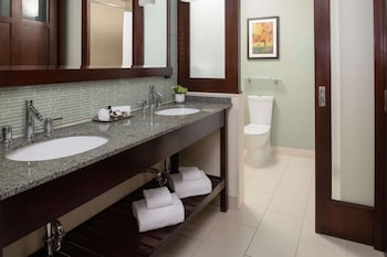 Premier King Balcony ADA Roll-In Shower